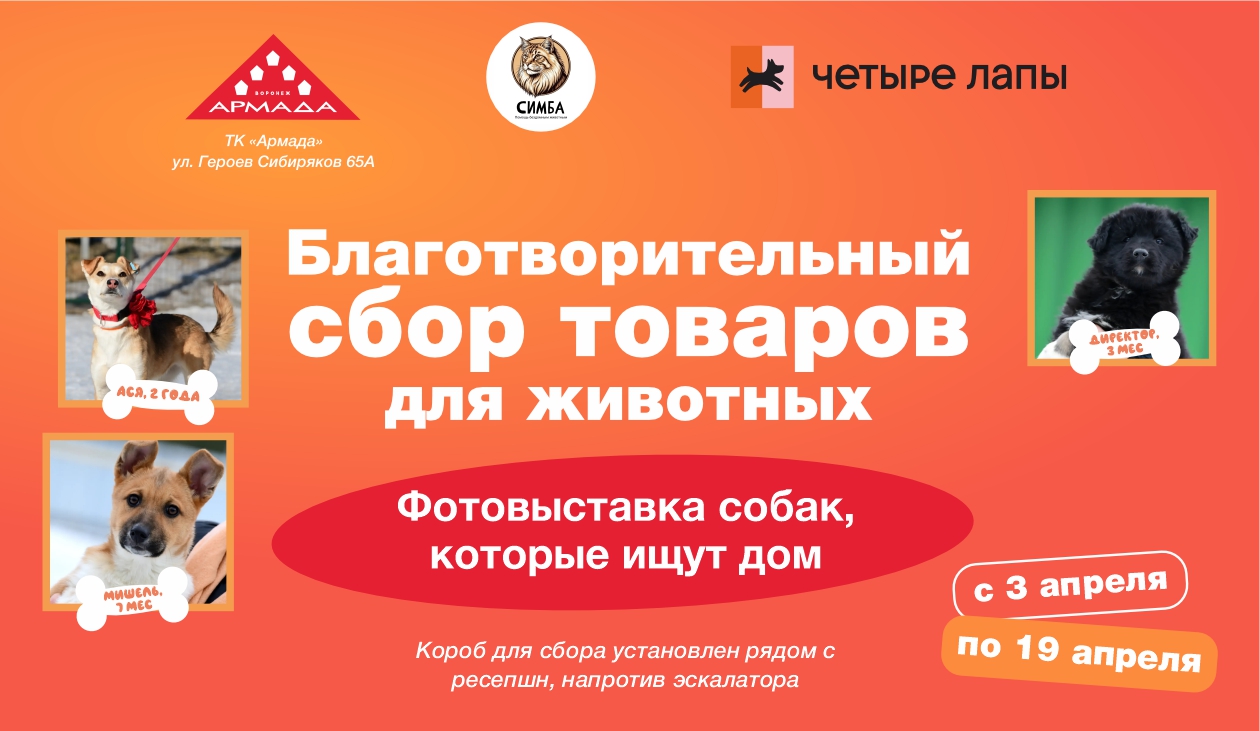 Дай лапу, друг