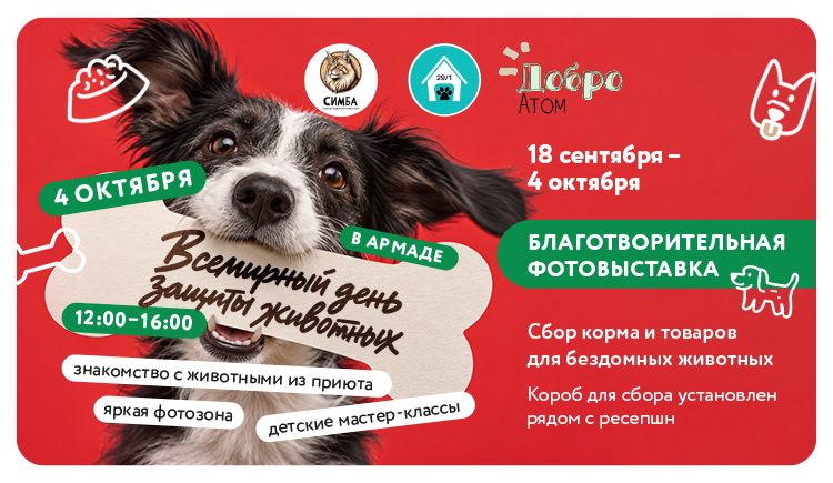 Благотворительная фотовыставка