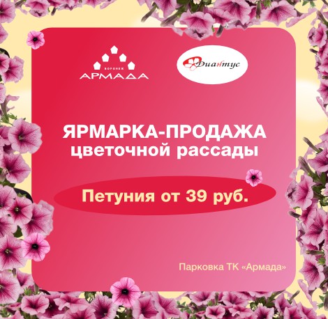 Ярмарка-продажа на парковке